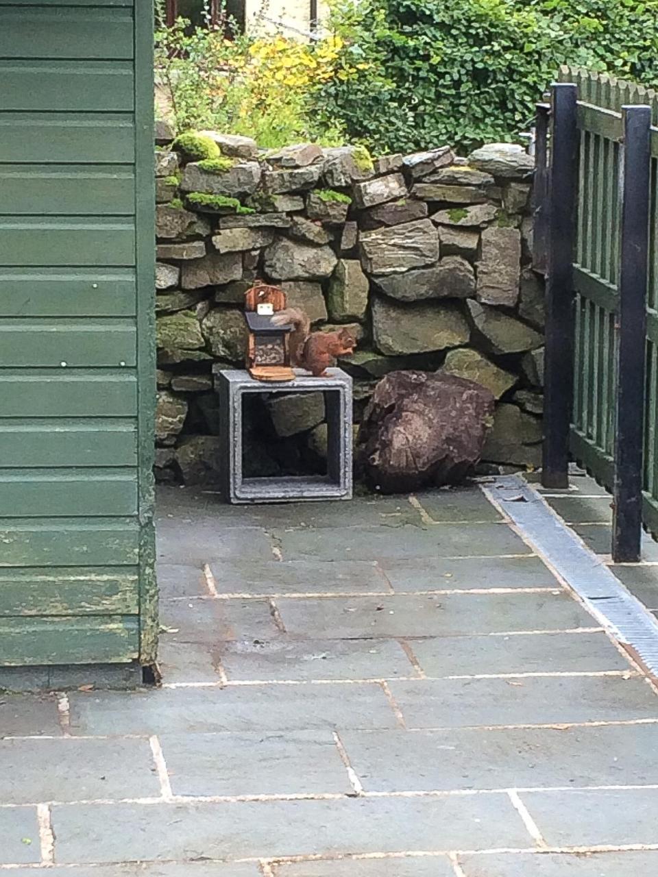 Lords Seat Bed & Breakfast 凯西克 外观 照片